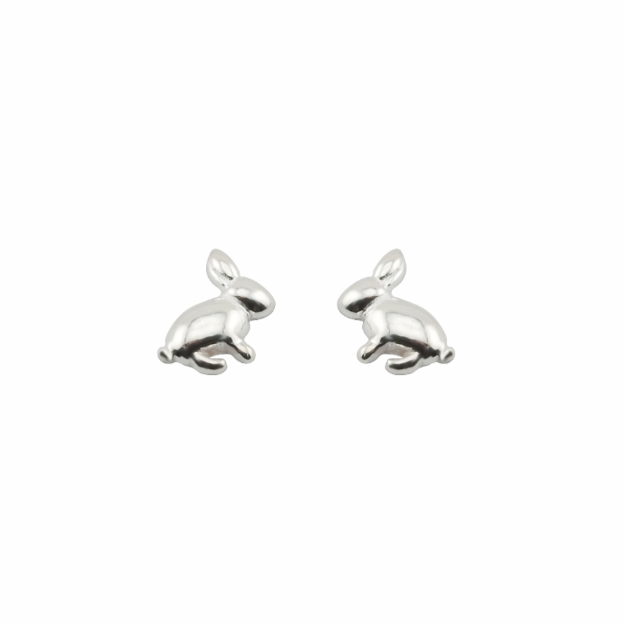 Pair of silver dolphin-shaped earrings on a white background