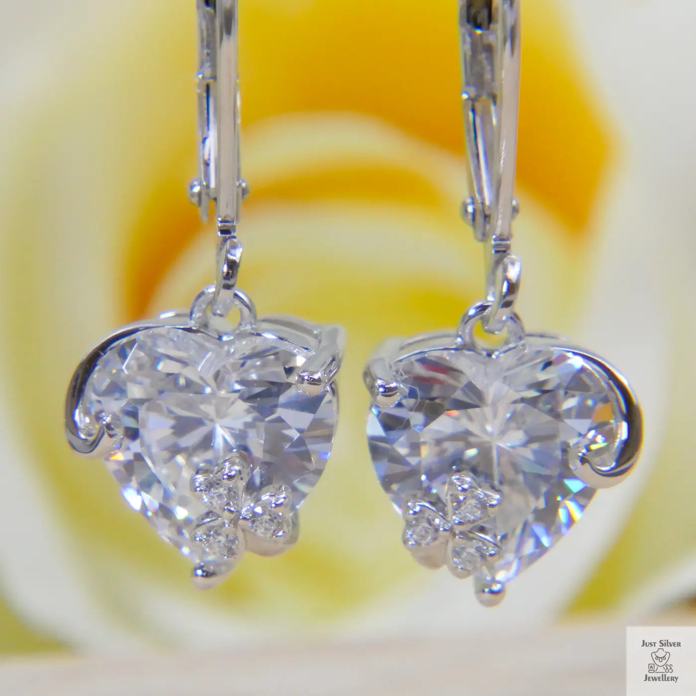 Heart-shaped natural zircon earrings with a blurred floral background