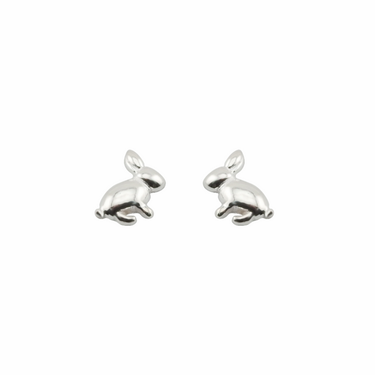 Pair of silver dolphin-shaped earrings on a white background