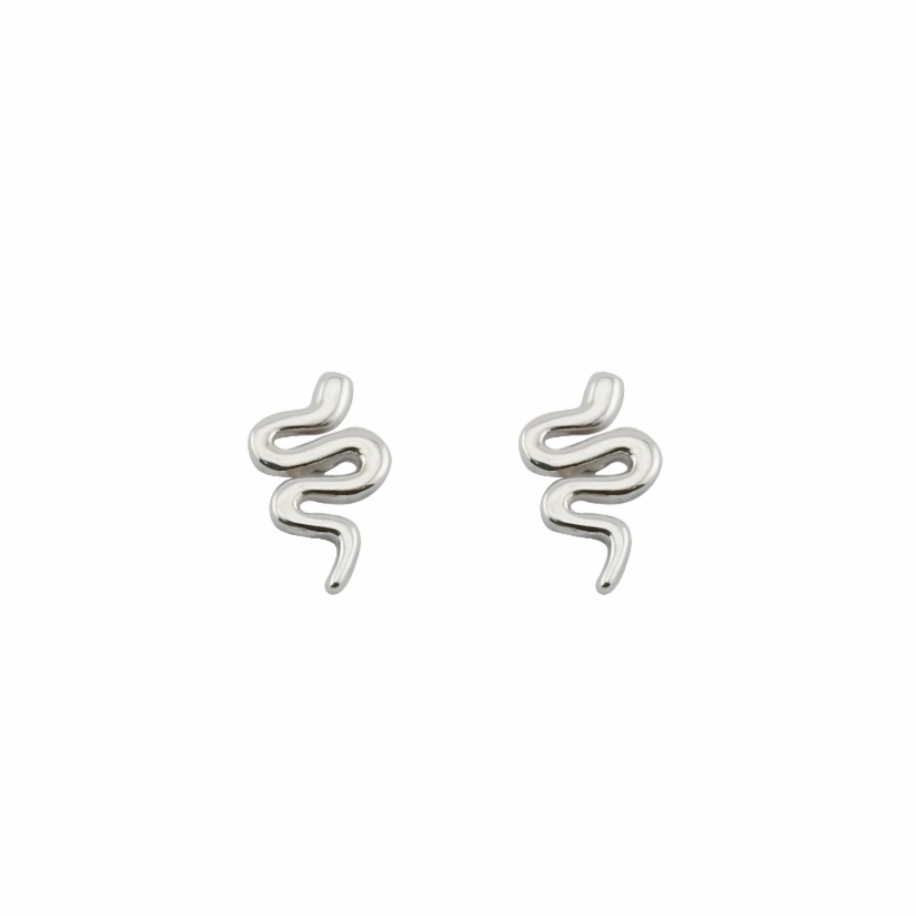 Pair of silver snake-shaped earrings on a white background