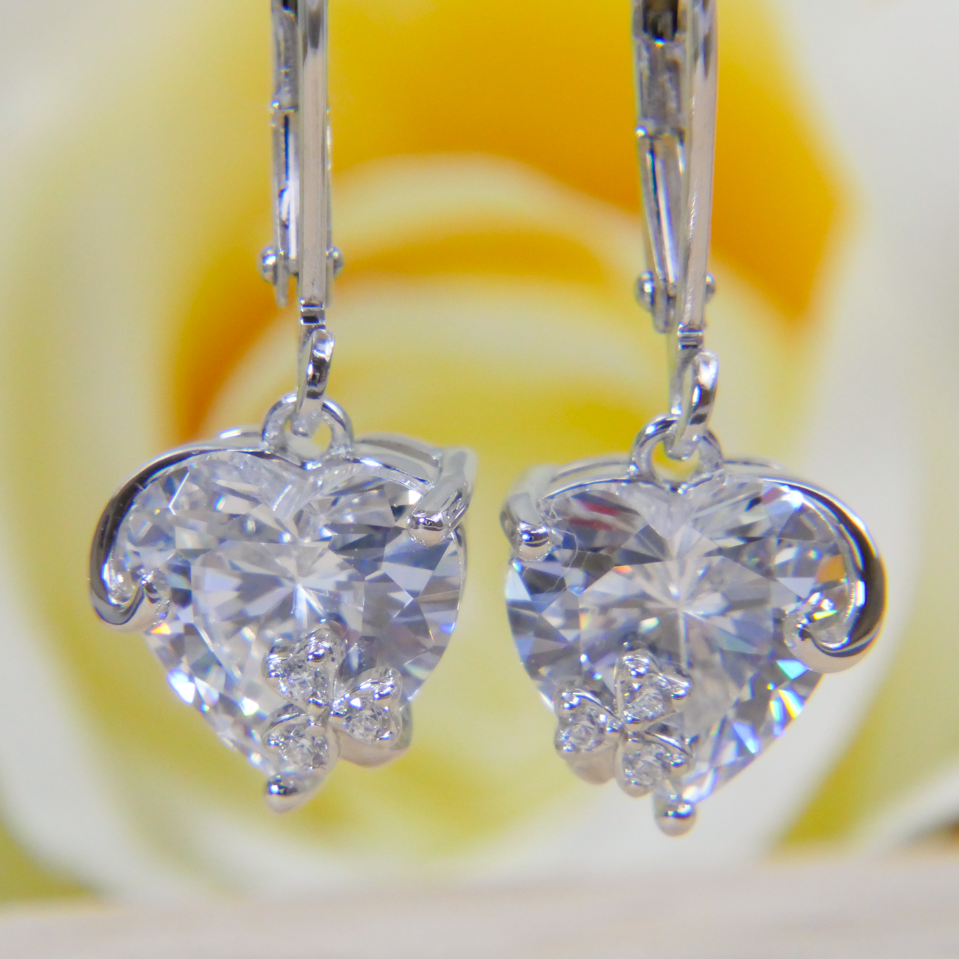 Heart-shaped natural zircon earrings with a blurred floral background