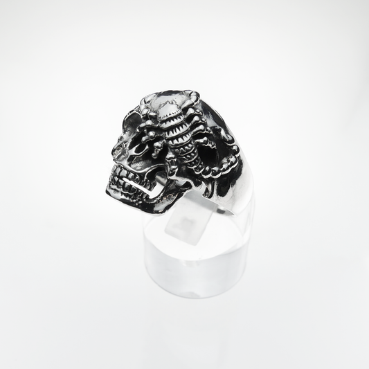 Silver skull ring on a white background